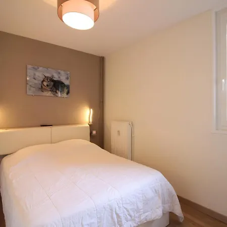 T2 Avec Balcon, Parking Privatif, Idealement Situe Au Mont-dore, Proche Centre Et Thermes - Fr-1-608-244 Apartment Le Mont-Dore